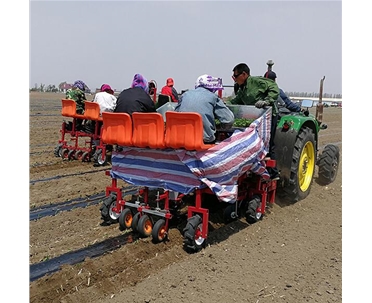 雙行辣椒栽機